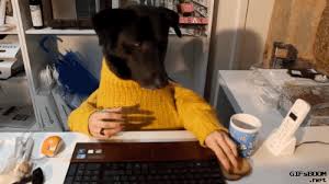 Go on to discover millions of awesome videos and pictures in thousands of other categories. Working From Home Meme Gif Review At Home Partenaires E Marketing Fr