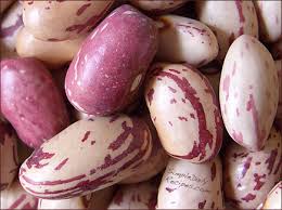 1/2 cup extra virgin olive oil. Cranberry Beans Are Pretty Pinto Beans Simple Daily Recipes