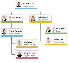 14 inquisitive web design organizational chart