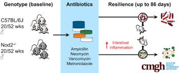 Read bab 11 from the story dr. Nod2 Influences Trajectories Of Intestinal Microbiota Recovery After Antibiotic Perturbation Cellular And Molecular Gastroenterology And Hepatology