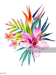 Illustration Bouquet De Fleurs Tropicales Dessin Bouquet De Fleurs Dessin Hibiscus Fleur Tropicale Tatouages