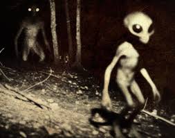 🚨 The SHOCKING Truth: Astronauts claim 10-FOOT ALIEN BEINGS were  encountered during SECRET SPACE MISSIONS — and the story is more terrifying  than anyone expected 😱👽 … Full story in the comments ⬇️