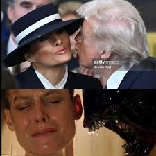 Liz Cheney/Adam Kinzinger Against Trump