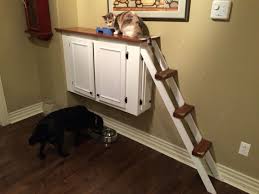 If thet aren't the (young aged dogs) then they can only eat dog food. Gander Cat Food Station Cat Feeding Station Dog Proof Cat Feeding Station