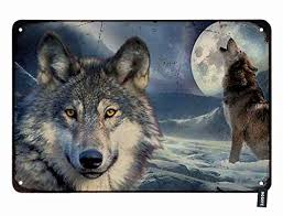 The howl of the eastern timber wolf for 50 years, people have gathered each summer in ontario's algonquin national park to listen to the wolves. Ebros Arctic Tundra Forest Snow White Ghost Wolf Howling At The Moon Electric Oil Burner Tart Warmer Aroma Scent Statue Night Light Home Fragrance Aroma Accessory Spirit Wolves Timberwolf Figurine Candles
