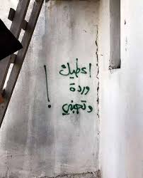 pin by selma on جداريات street art quotes graffiti words arabic quotes