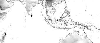 Image result for Chrysophyllum welwitschii