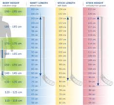 Floorball Stick Length