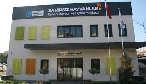 Sokak Hayvanlari Icin Rehabilitasyon Merkezi Sanal Basin