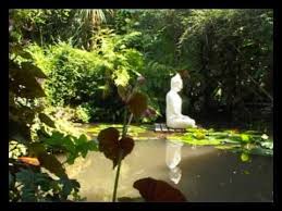 Gardasee Garten Von Andre Heller Garten Gardasee Gartenpflanzen