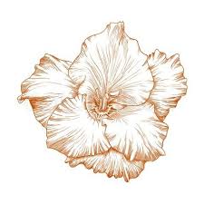 Pin On Tats To Get