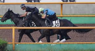 Jun 07, 2021 · 6月13日（日）札幌競馬場で行われる、第28回函館スプリントステークス（g3・3歳上オープン・芝1200m）の登録馬は下記の通り。 スピード優位なその走りから、短距離に活路を求めてようやく結果が出たコントラチェック。 Cglb3egri Kzfm