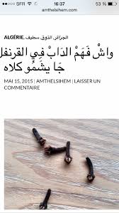مثل جزائري من ولاية سطيف من موقع Amthelsihem Com Obu
