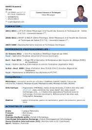 .the cv in france : Cv Model En Francais Cv Words Standard Cv Format Standard Cv