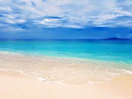 Also if you can download a resized wallpaper to fit to your display or download original image. 500 Stunning Ocean Beach Pictures Hd Download Free Images On Unsplash