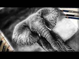 And shade it to make it realistic. Drawing A Realistic Elephant Yehoshua Shellim Youtube