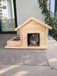 cat house kedi evi panosundaki pin