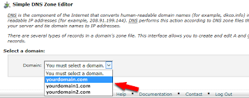 How To Add A Record In Cpanel Domainking Ng