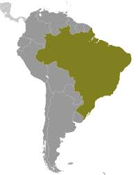 Xbox live gold 12 months membership (turkey vpn) 33.59 usd. Landkarte Brasilien America De