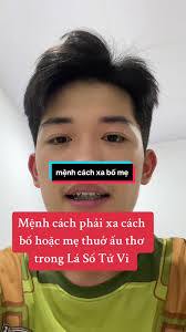 Cung Phụ Mẫu Vô Chính Diệu: Những Tác Động Đến Cuộc Đời