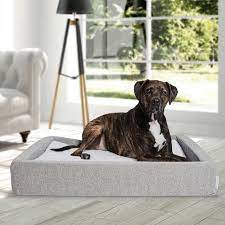 How much do costco dog beds cost? Molecule Air Engineered Dog Bed Large Costco