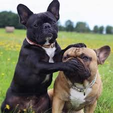 images?q=tbn:ANd9GcRyVhJKAjgcPSpE1wAyHjA