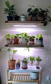 Attractive grow lights for indoor plants. Let S Talk Grow Lights Houseplants