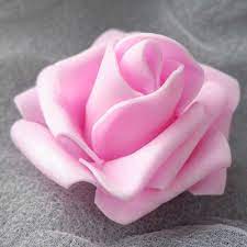We did not find results for: 100pcs 6cm Large Foam Flowers Bulk Foam Roses Heads Decor Artificial Flowers Foam Rose Flowers Diy Foam Rose Bear Acceossories Artificial Dried Flowers Aliexpress