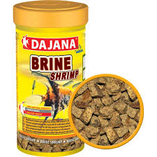 Brine shrimp eggs and hatchery. 15 Faqs About Betta Fishes Advice From Vets And Experts