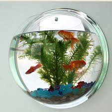 Maybe you would like to learn more about one of these? Clear Potted Plant Wall Hanging Bubble Fish Bowl Tank Aquarium Decoration Diy Set Home Accessories Free Shipping Buy At The Price Of 5 49 In Aliexpress Com Imall Com