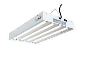 Fluorescent grow lights can be an inexpensive light option, but not all fluorescents are equal. What Kind Of Fluorescent Lights To Grow Plants Including Weed
