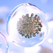 Camine de batrani in jud. Focar De Covid 19 La Un CÄƒmin De BÄƒtrani Din Cluj Napoca Audio Europa Fm