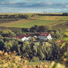 werbung weinberge sind einfach eine romantische und erholsame umgebung welche gut fur korper und geist ist startet gut weinberg korper und geist wein