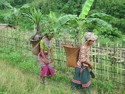 Fao Project Achieving Food And Nutrition Security In Remote Areas Of The Chittagong Hill Tracts Rural Men And Women In Remote Agriculture Projects Chittagong