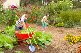 Vast good variety on the menu. Family Gardens And Kids Gardening Ideas Hgtv