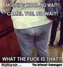 57 Camels Ideas Bones Funny Funny Make Me Laugh