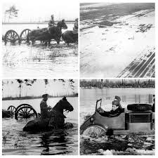Ze weten nog niet dat nederland zich heeft overgegeven en dat andere eenheden iets zuidelijker krijgsgevangen zijn gemaakt. Pin Op Dutch Water Defence Lines More
