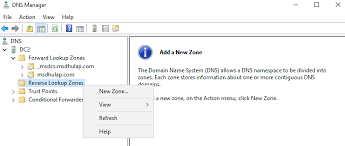 Configuring Dns Reverse Lookup On Windows Server 2019