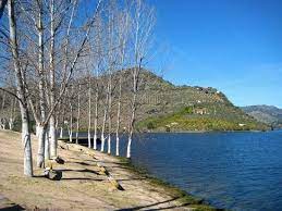 The palace of freixo (portuguese: Praia Fluvial Da Congida Foto De Freixo De Espada A Cinta Distrito De Braganca Tripadvisor