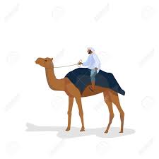Future man and camel vehicle. A Man Travels On A Camel Royalty Free Cliparts Vectors And Stock Illustration Image 79024304
