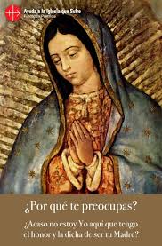 Pin En Oraciones
