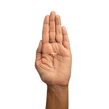 In order to get an iud, you need to go to a healthcare professional for insertion. The Main Types Of Iud S Updated 2019 The Iud Women S Clinic