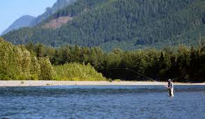 We did not find results for: The Avid Angler Fly Fishing Shop Seattle Wa Fishing Conditions Water Profiles Rivers Skykomish River