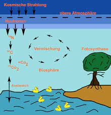 Radiometric dating methods detect beta particles from the decay of carbon 14 atoms while accelerator mass spectrometers count the number of carbon 14 atoms present in the sample. Die Radiokarbonmethode Praehistorische Archaeologie De