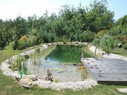 Schwimmteich Fotos Schwimmteich Bilder Gartenteich Bilder Teichfotos Teichbilder Honcak At Schwimmteich Gartenteich Teich