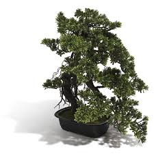 Bonsai Artificiel 50 Cm Vase Et Plante Artificielle Objet Decoratif Decoration Gifi