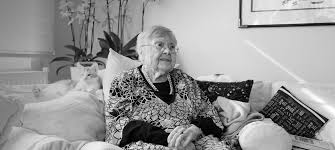 Sümerolog, bilim insanı, tarihçi muazzez i̇lmiye çığ 20 haziran 1914 yılında bursa'da dünyaya gelmiştir. Muazzez Ilmiye Cig Ile Heralandaesit Bmw Joy Blog