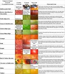 Tomato Classification Chart Tomato Garden Lawn Garden