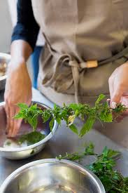 Voir plus d'idées sur le thème cuisine sauvage, plantes sauvages. Ateliers Cuisine Sauvage Cuisine Sauvage Asbl