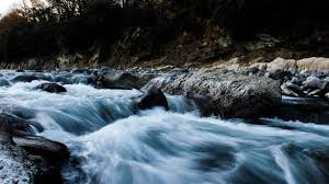 Obituary information for Frank Clayton